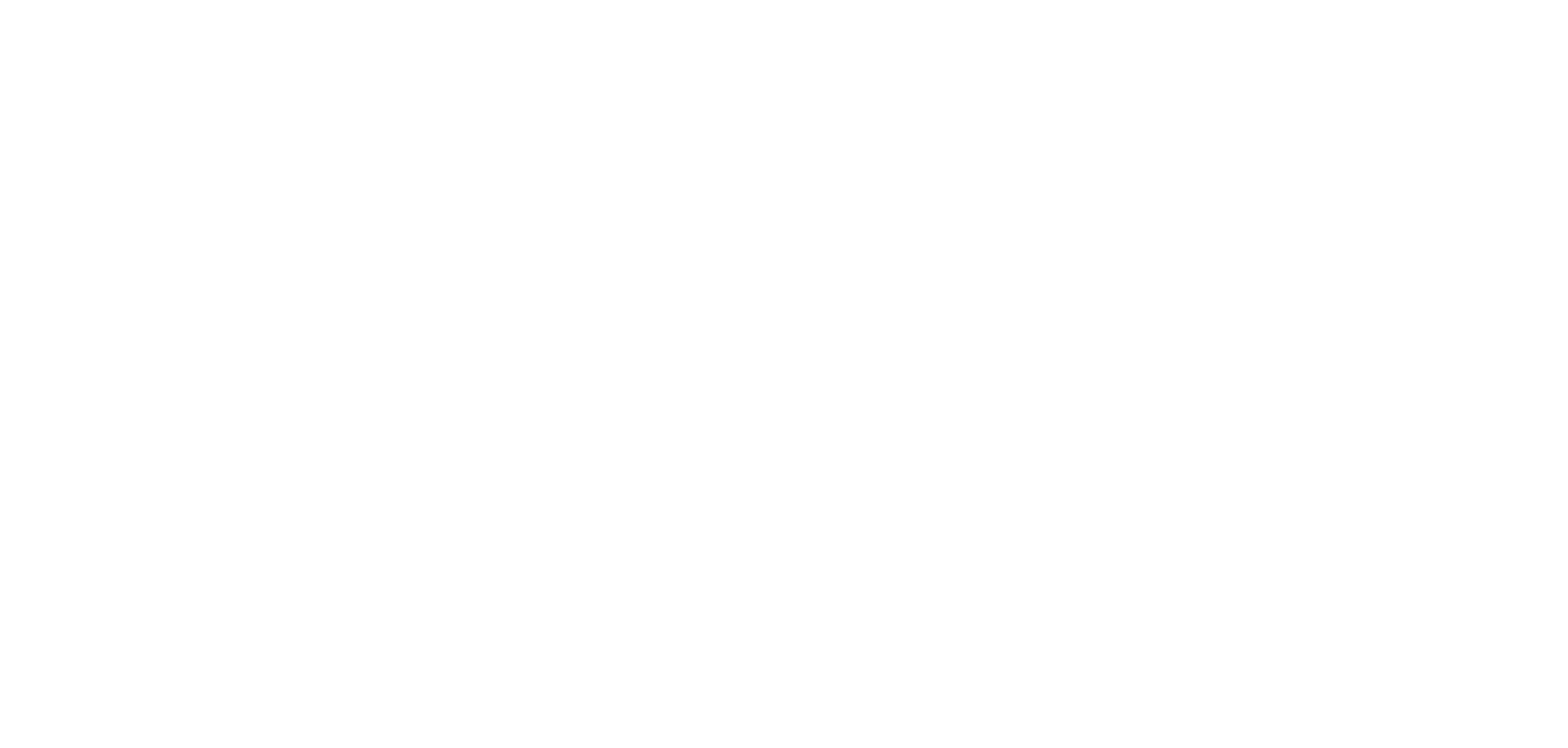 fe mer Consulting Logo